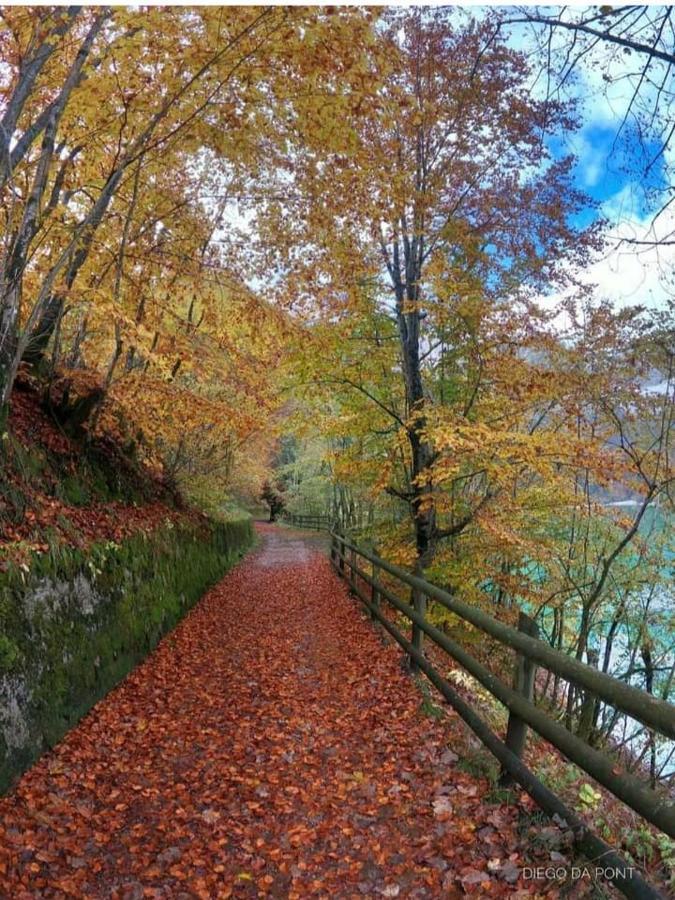 Apartmán Colori Nel Parco Cesiomaggiore Exteriér fotografie